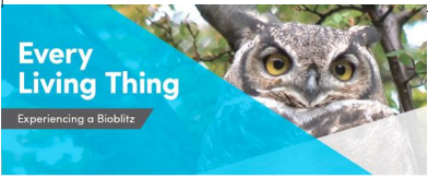 Poziv na projekciju dokumentarnog filma „Every Living Thing“ na Odjelu za ekologiju, agronomiju i akvakulturu
